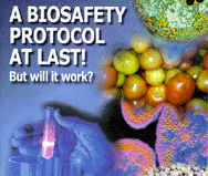 A Biosafety Protocol at Last!
